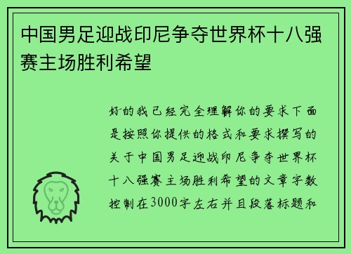 中国男足迎战印尼争夺世界杯十八强赛主场胜利希望